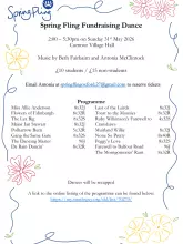 Fundraising Dance Flyer